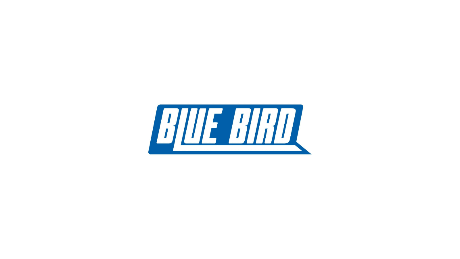 Blue Bird Liquidation